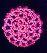 Neon Pink Hair Net Crocheted Hair Bun Cover- MINI