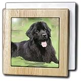 Dogs NewFoundLand - Newfoundland - Tile Napkin Holders
