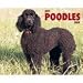 poodle23 - Just Poodles 2009 Calendar From Willow Creek