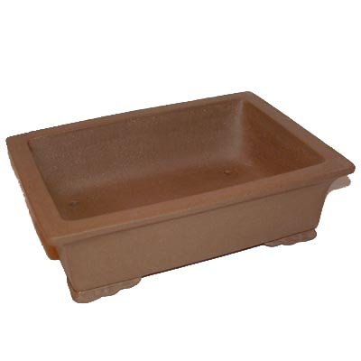 25cm High Quality Fine Clay Bonsai Pot - 7