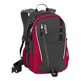 JanSport Agave Backpack