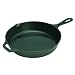 31wQfIitCwL. AA75  Lodge Logic L14SK3 Pre Seasoned 15 Inch Cast Iron Skillet