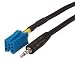 Blaupunkt ISO 8 polig für Klinke 3,5mm Adapter