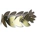 Roman Laurel Wreath