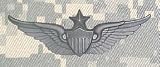 Senior Aviator - Metal Insignia - Black - Full Size