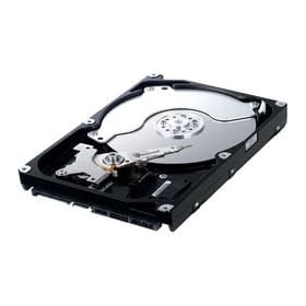 Samsung SpinPoint F1 HD252HJ 250 GB SATA 3.5 Inch Hard Disk Drive with 16 MB Buffer Memory