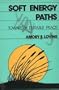 Soft Energy Paths: Towards a Durable Peace (Harper Colophon Books Cn653)