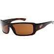 Fox Racing The Falta Adult Fashion Sunglasses w/ Free B&F Heart Sticker Bundle - Dark Brown Tortoise/Dark Bronze