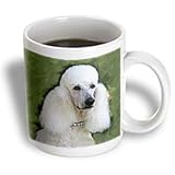 Dogs Poodle - Standard Poodle - Mugs