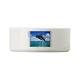 Dog Cat Food Water Bowl Dolphins Singing