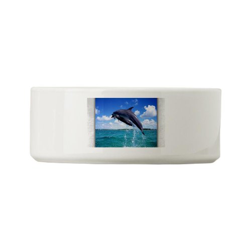 Dog Cat Food Water Bowl Dolphins Singing