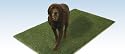 Artificial Grass~ Artificial Grass Designed Specifically For Dogs~ 3' x 5'