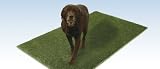 Artificial Grass~ Artificial Grass Designed Specifically For Dogs~ 3' x 5'
