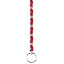 Guardian Gear 14-Inch Steel Dog Choke Chain with Nylon Webbing, Red