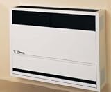 Williams 2203622 Direct-Vent Natural Gas Furnace - 22,000 BTU