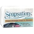 Soapsations Microwaveable Soap Block 1 Lb: Coconut