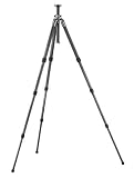 Gitzo GT2541 Series 2 Carbon 6X4 Section Tripod with G-Lock Replaces GT2540