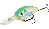 Fishing: Bomber Bill Dance Signature Series Fat Free Shad