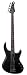 MTD Kingston Saratoga Fretless 5-String Bass, Transparent Black Gloss