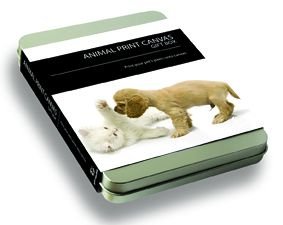 Childrens Toyshop  Electronics : Animal Print Canvas Gift Box