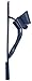 Capelli New York Ladies Fashion Flip Flop Jelly Thong With A Bow Navy 10