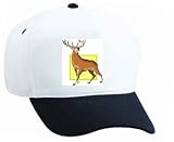  : White Cap with forecast, astrology, deer, sign, horoscope, animal, chinese