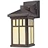 Westinghouse 6732800  Burnham One-Light Exterior Wall Lantern  on Steel with Honey Art Glass,  Oil Rubbed Bronze Finish