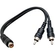 HOSA RCA (F) - TWO RCA (M), 6 in.