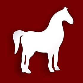 Childrens Bedroom Door plaque- 10cm HORSE Shatterproof Acrylic Mirror *Personalised for FREE*