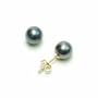 14k Yellow Gold 6.5x7mm AA Black Freshwater Cultured Pearl Stud Earrings