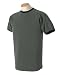 Authentic Pigment Pigment-Dyed Ringer T-Shirt 1946