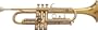 XL Intermediate Series Bb Trumpet Lacquer