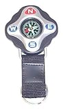 Compass Key Chain