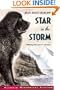 Star in the Storm