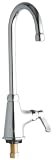Elkay LK535GN05L2 Single Hole Gooseneck Spout