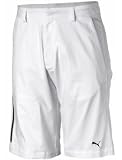 31wV8uYepIL. SL160  Golf Shorts
