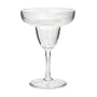 10 Oz. Unbreakable Tritan Plastic Margarita Glass