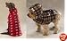 BROWN The Yukon Dog Jacket - X Small