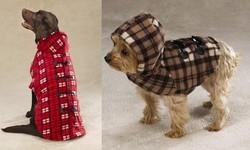 BROWN The Yukon Dog Jacket - X Small