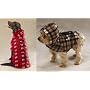BROWN The Yukon Dog Jacket - X Small