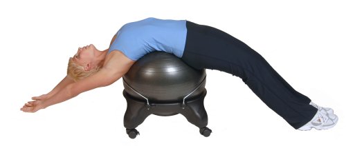 Health Mark BT20000 Swiss Ball Chair