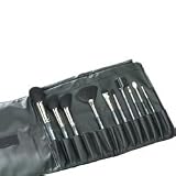 be PROFESSIONAL makeup 10-pc. Brush Set