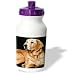 golden_retriever31golden retriever - Dogs Golden Retriever Golden Retriever Water Bottles