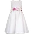 Rare Editions Girls 2-6X Organza Flower Dress