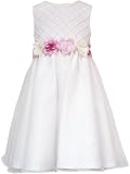 Rare Editions Girls 2-6X Organza Flower Dress