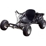 Scooter X 163Ccsk 163cc Sport Kart Go Kart