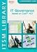 IT Governance based on CobiT&reg; 4.0  - A Management Guide