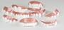 Fake Teeth Pack of 9