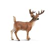 Schleich - (Deer) White Tailed Buck
