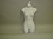 Deluxe Ladies Half Round Torso Form - White (Beware of Cheap Imitations!) Box of 1